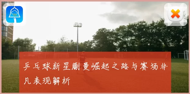 乒乓球新星蒯曼崛起之路与赛场非凡表现解析