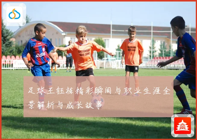 足球王钰栋精彩瞬间与职业生涯全景解析与成长故事