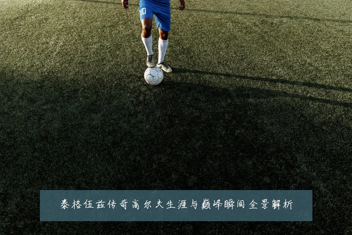 泰格伍兹传奇高尔夫生涯与巅峰瞬间全景解析
